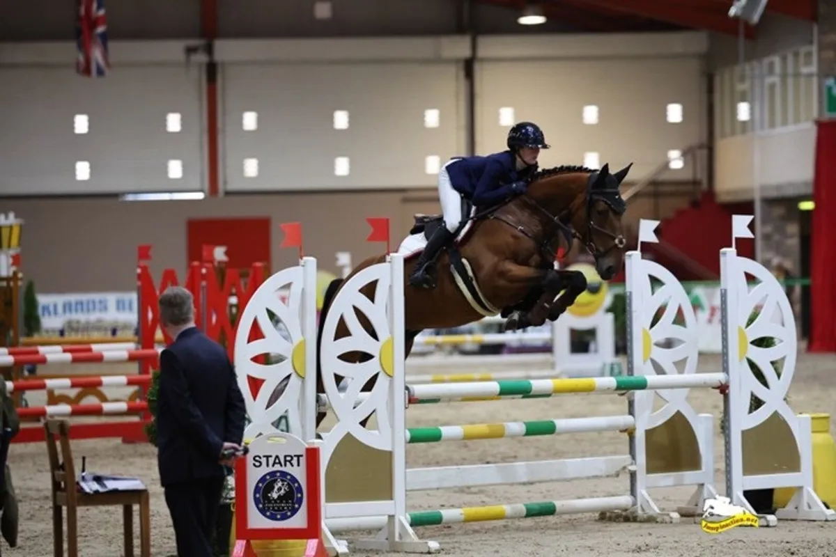 Horse - Image 2