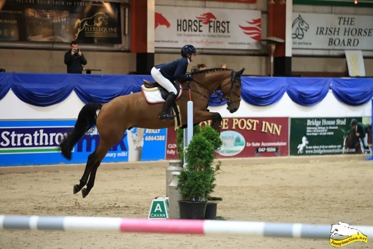 Horse - Image 3