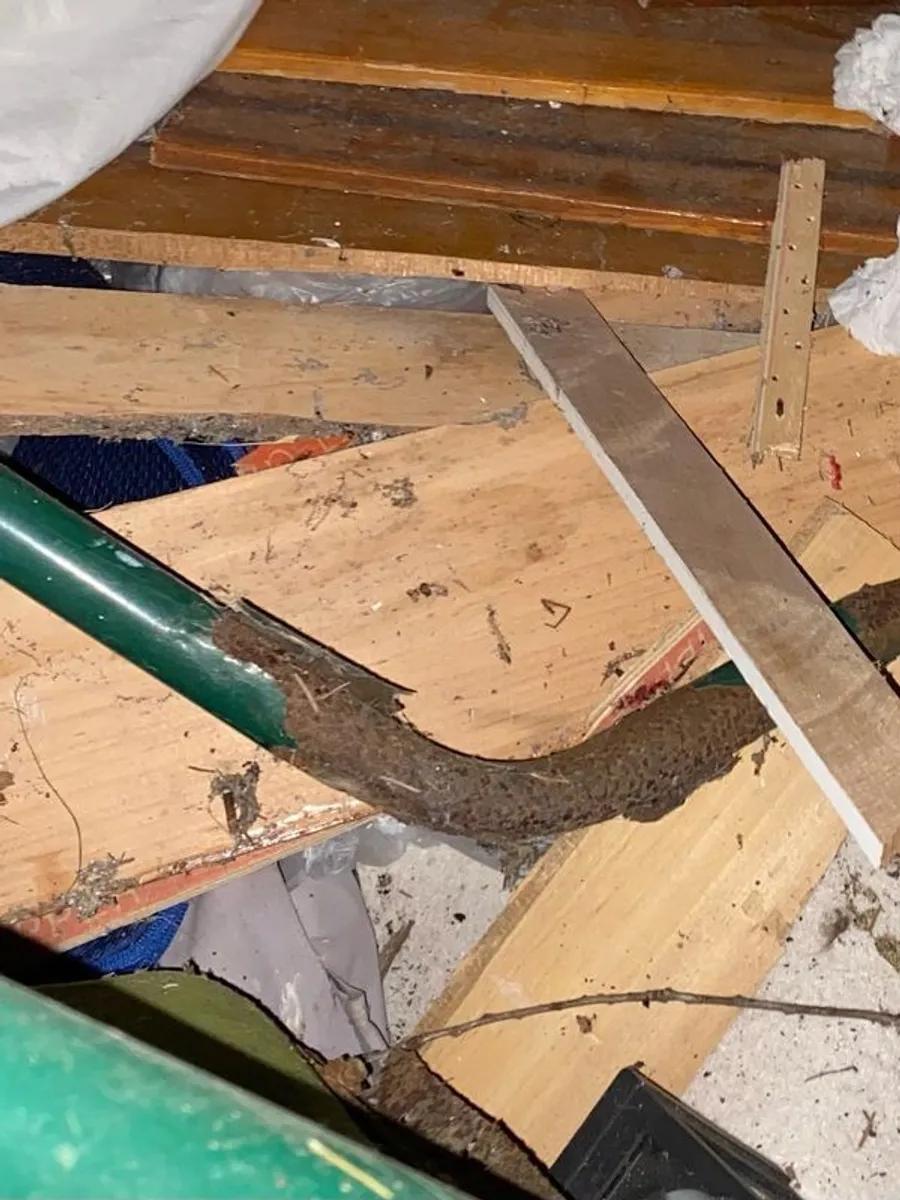 Free Scrap Wood / Fire Wood Collection Only - Image 4