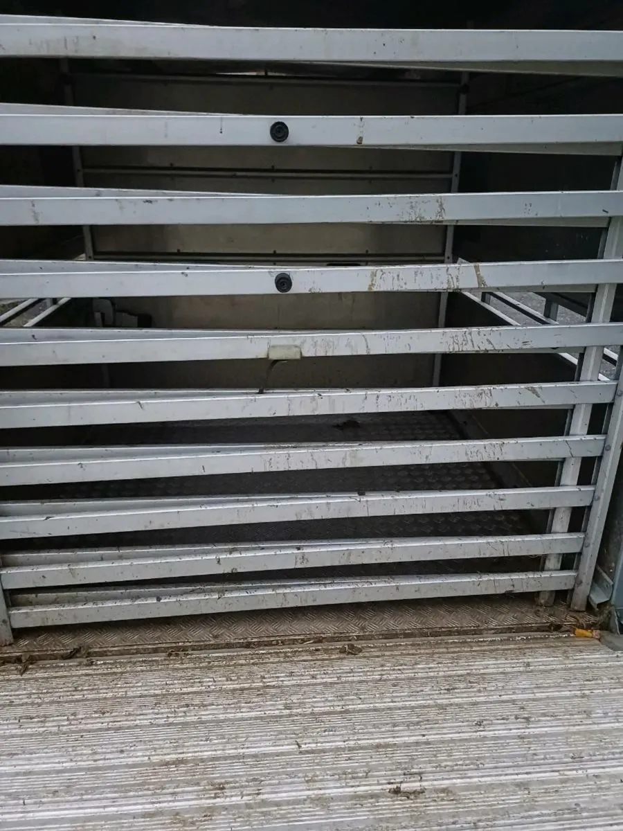 Ifor williams 14ft CATTLE TRAILER €5850 - Image 3