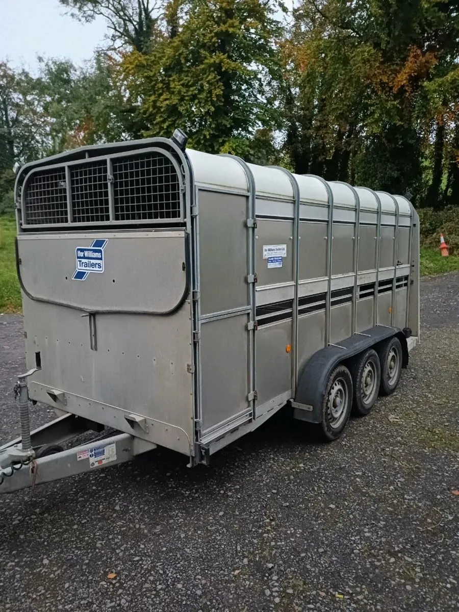 Ifor williams 14ft CATTLE TRAILER €5850 - Image 1