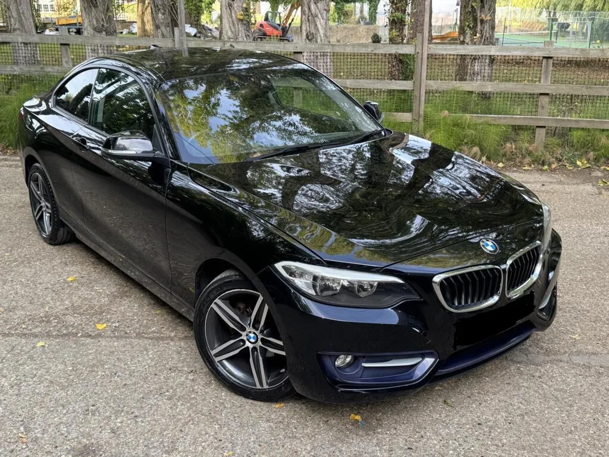 162 BMW 2 Series Sport (WARRANTY/NCT) - Image 2