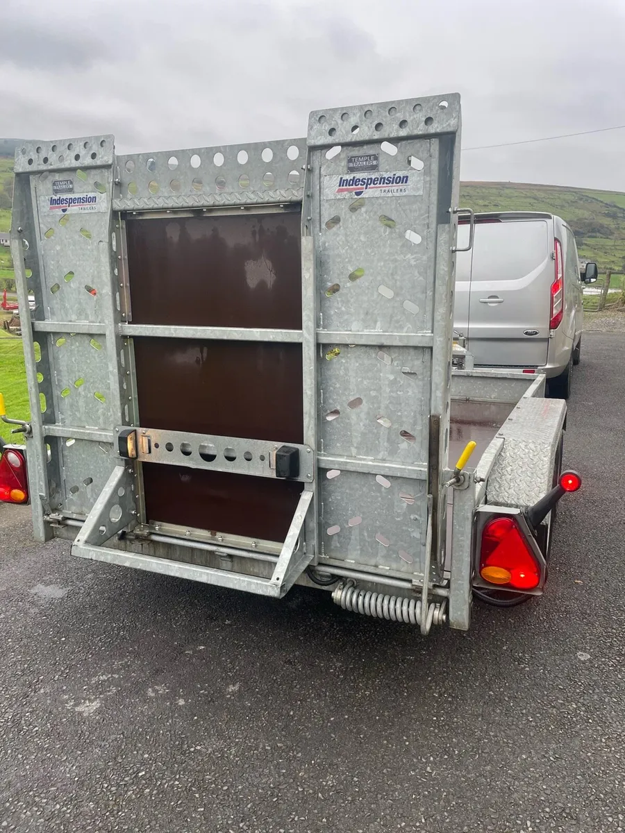 10x5.5 indespension plant trailer - Image 3