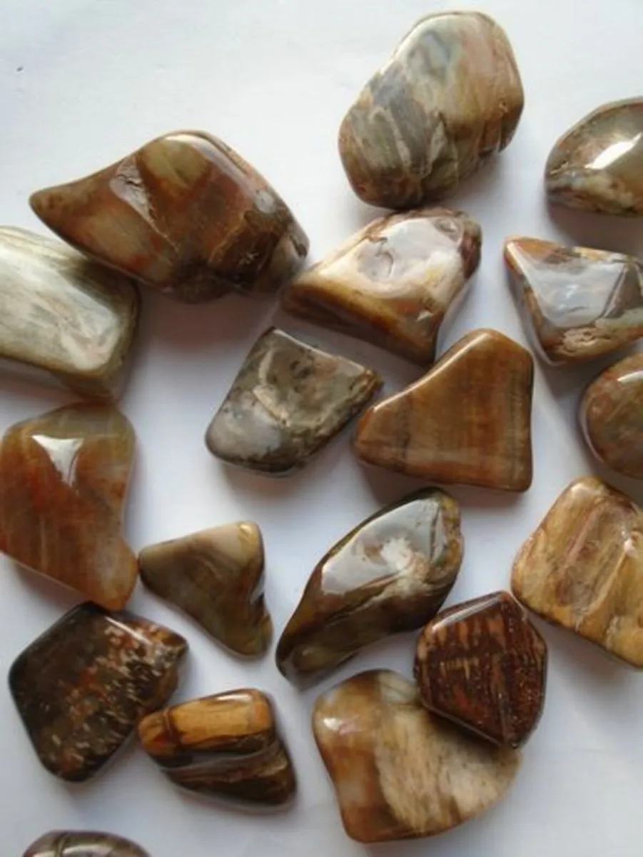 Petrified Wood, Crystals,Gemstones - Image 1