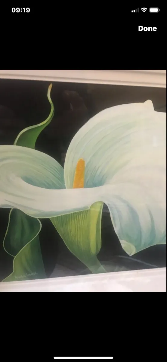 Arum Lily- Nicola Lynch Morrin - Image 3