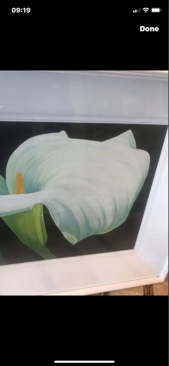 Arum Lily- Nicola Lynch Morrin - Image 4