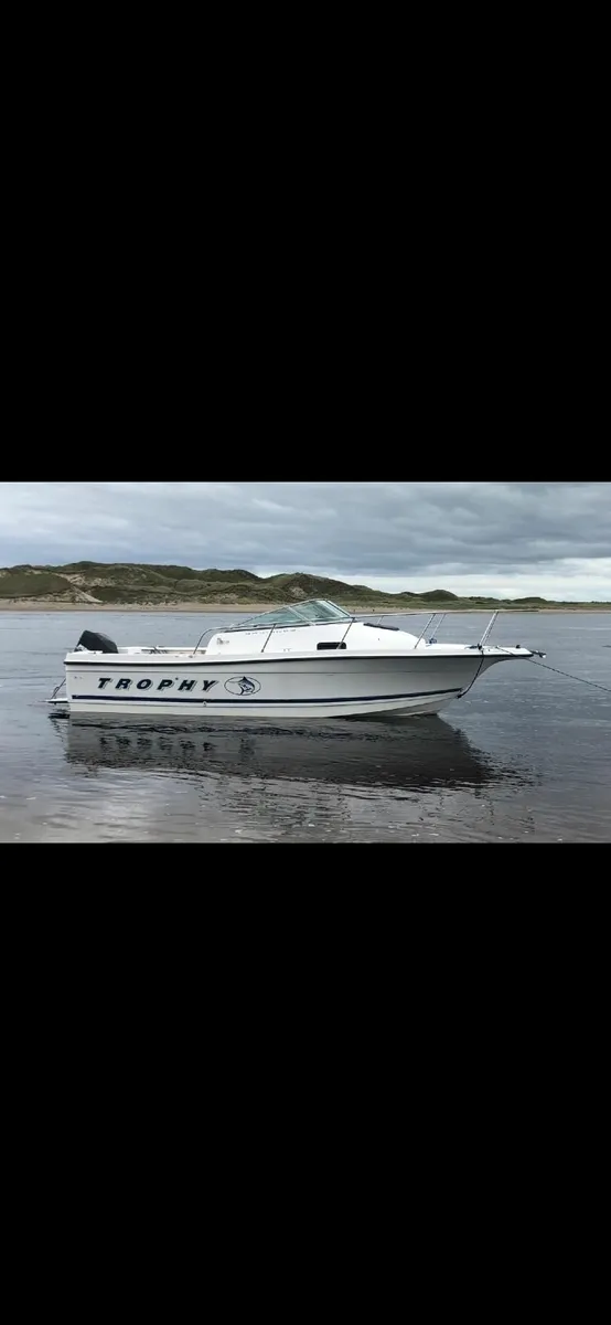 Boat Trophy 2502 w/a - Image 1