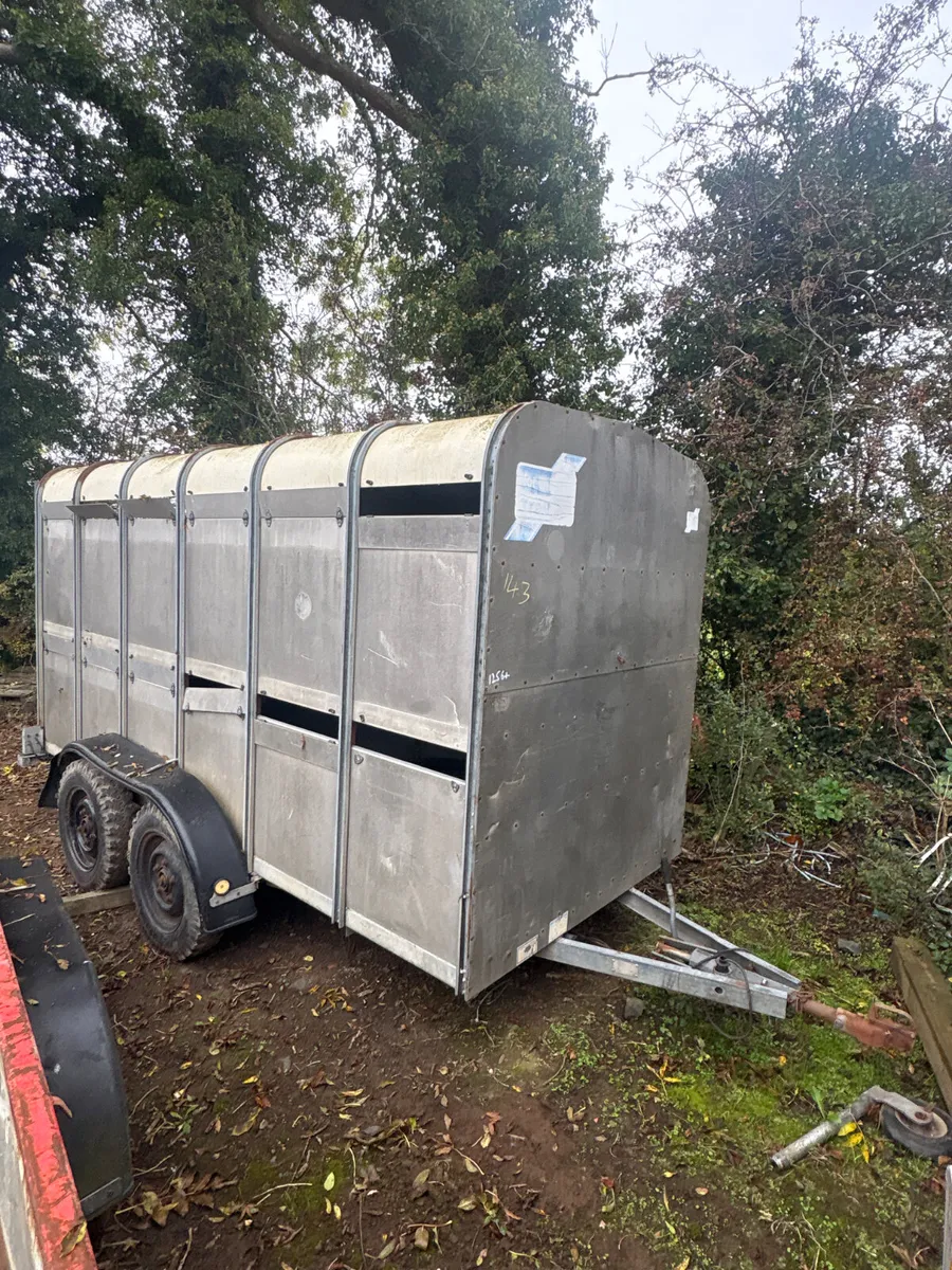 Ifor Williams 12ft cattle trailer - Image 1