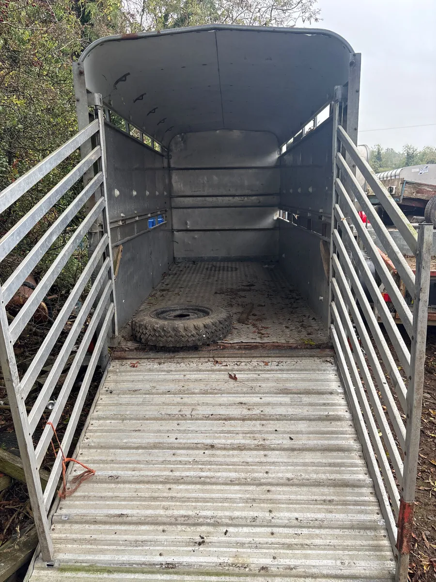 Ifor Williams 12ft cattle trailer - Image 3