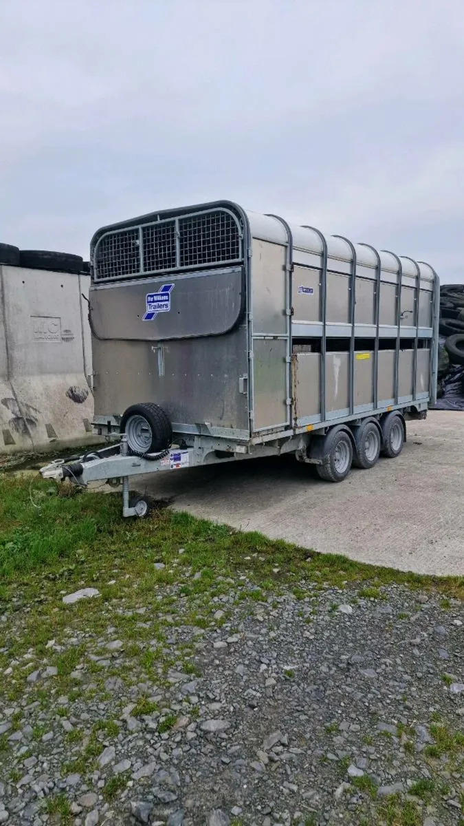 Tri Axle Ifor Williams DP120 14×6'6 Cattle Trailer - Image 1