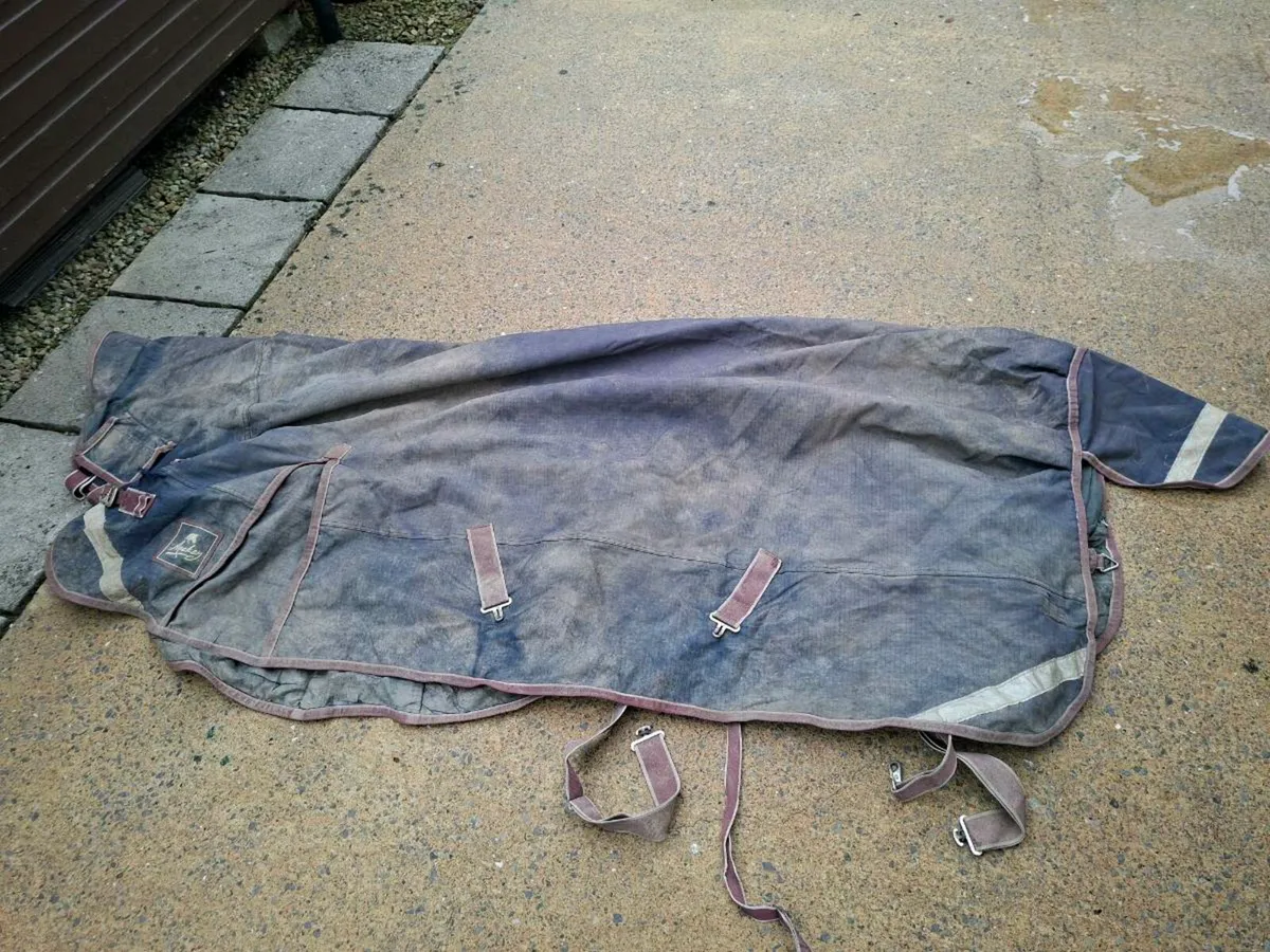 Rug Bundle - Image 1