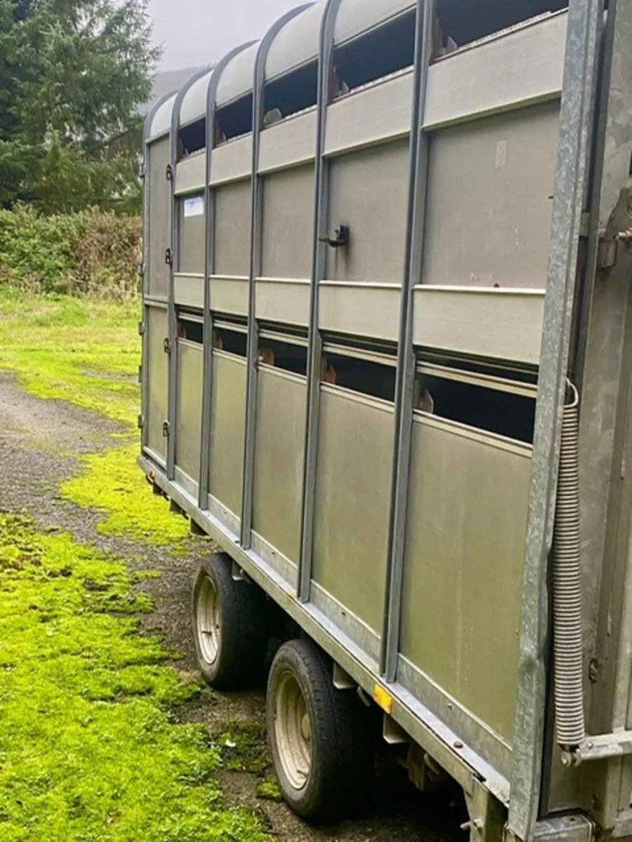 Ivor Williams 12 x 6 Cattle / Sheep Box - Image 1