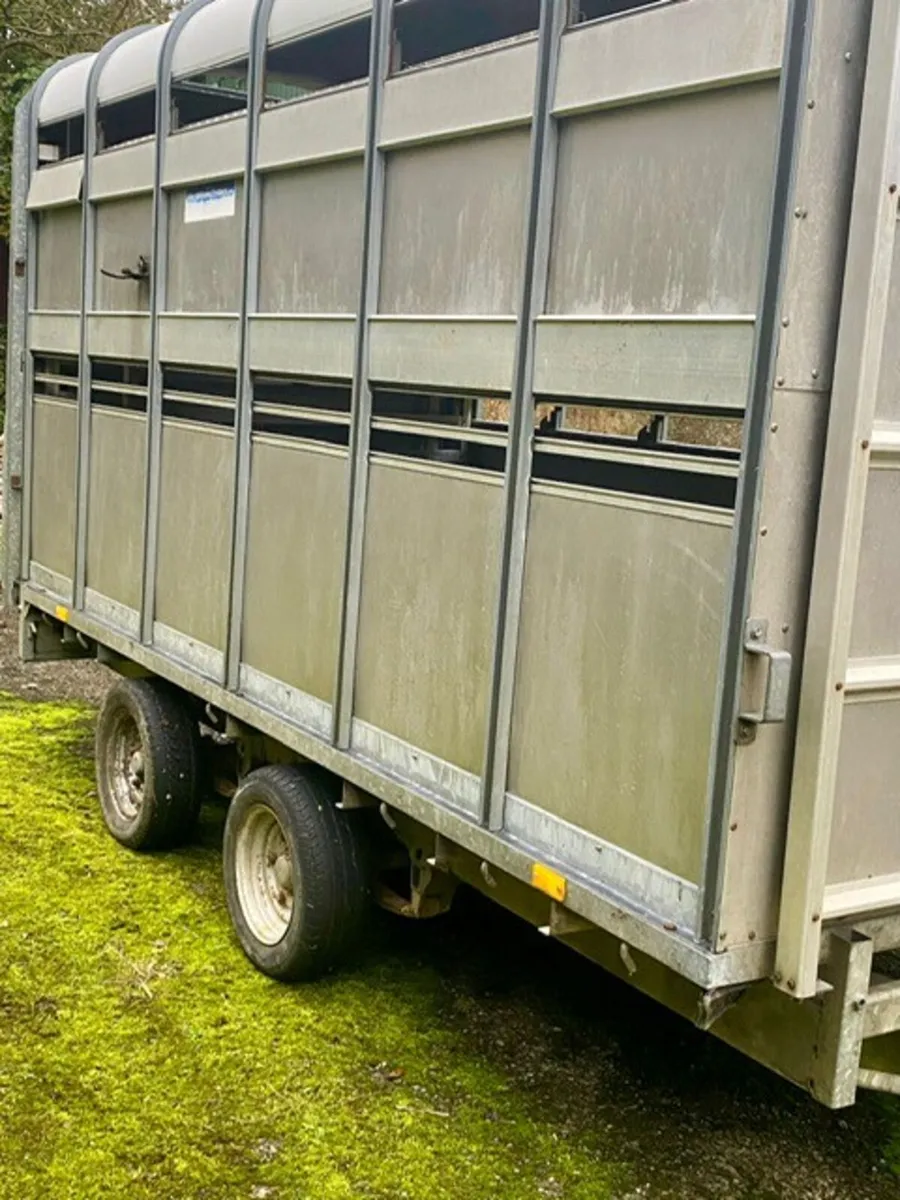 Ivor Williams 12 x 6 Cattle / Sheep Box - Image 2