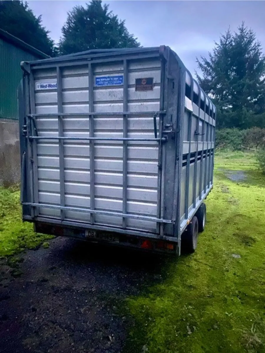 Ivor Williams 12 x 6 Cattle / Sheep Box - Image 3