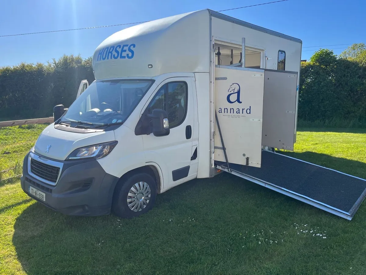 2017 Peugeot Boxer Horse Van - Image 3