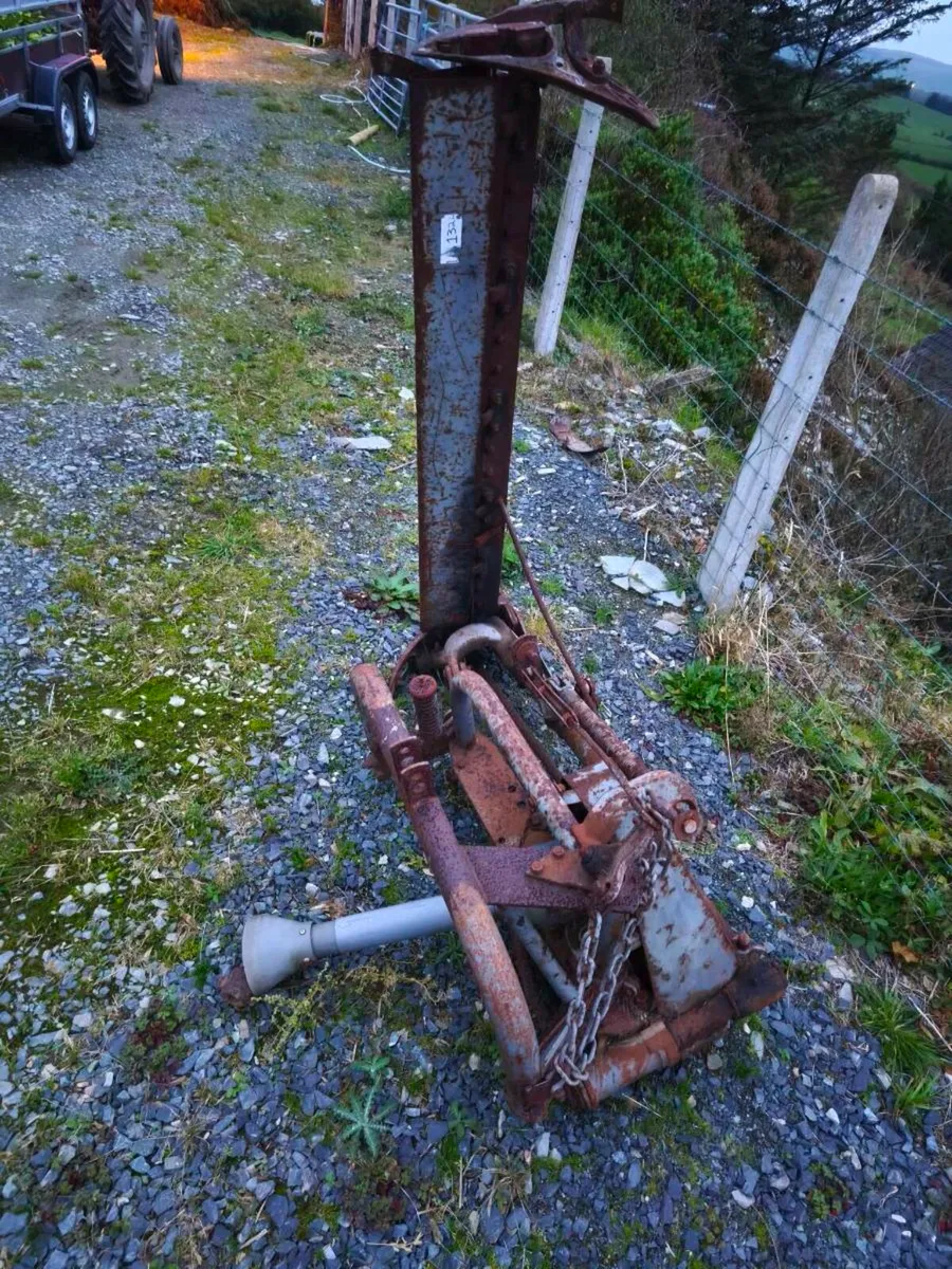 Shed clear out - Image 3