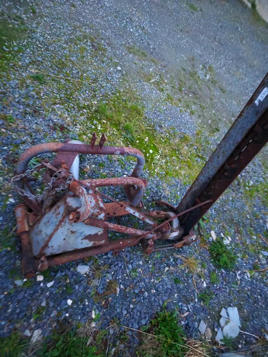Shed clear out - Image 4