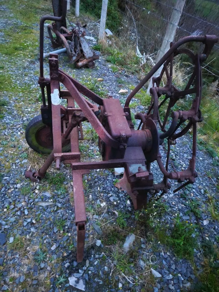 Shed clear out - Image 1