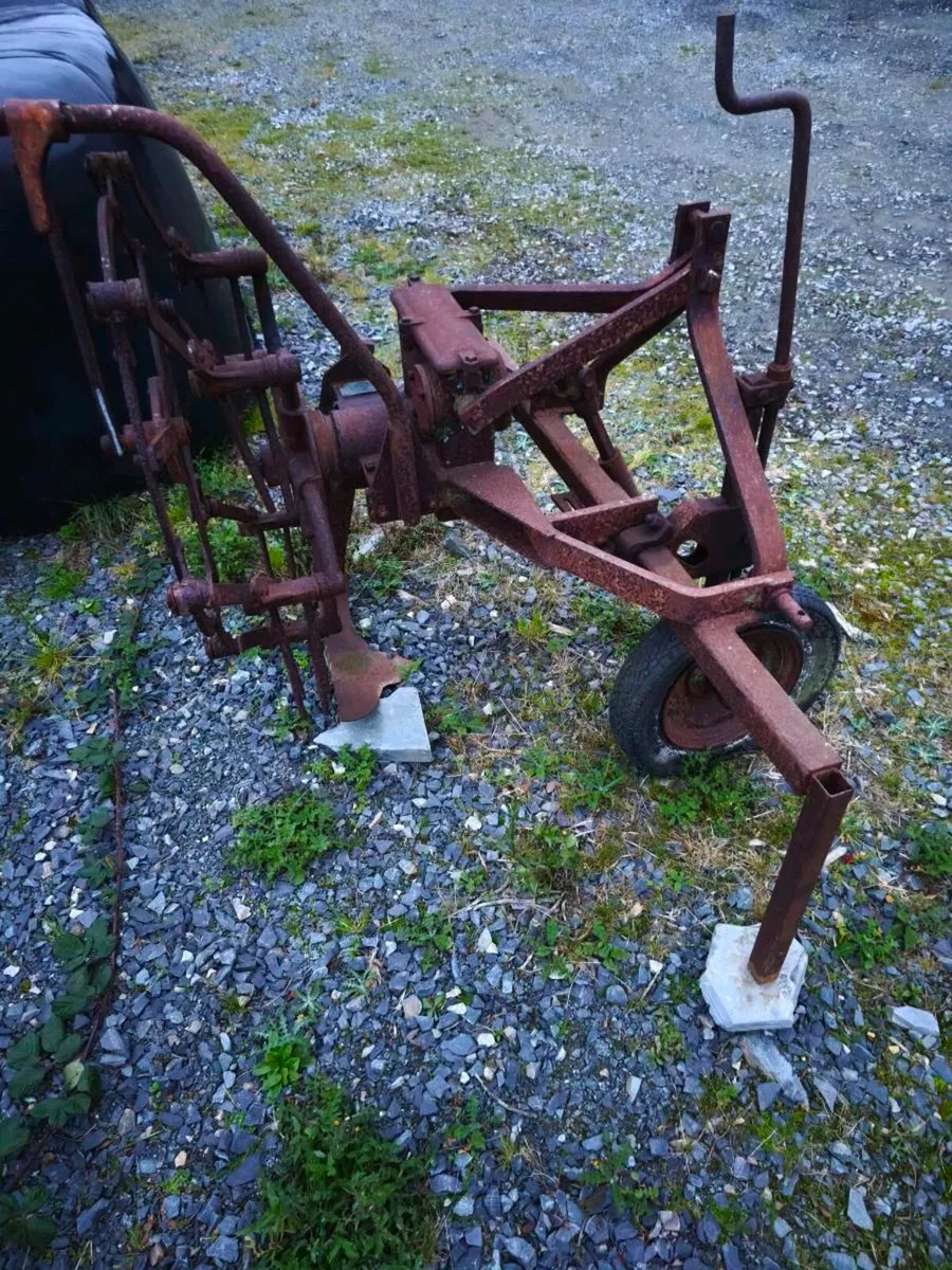 Shed clear out - Image 2