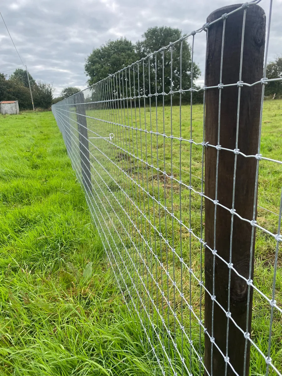 DURO2 POST AND RAIL AND FRS TINAHELY - Image 4