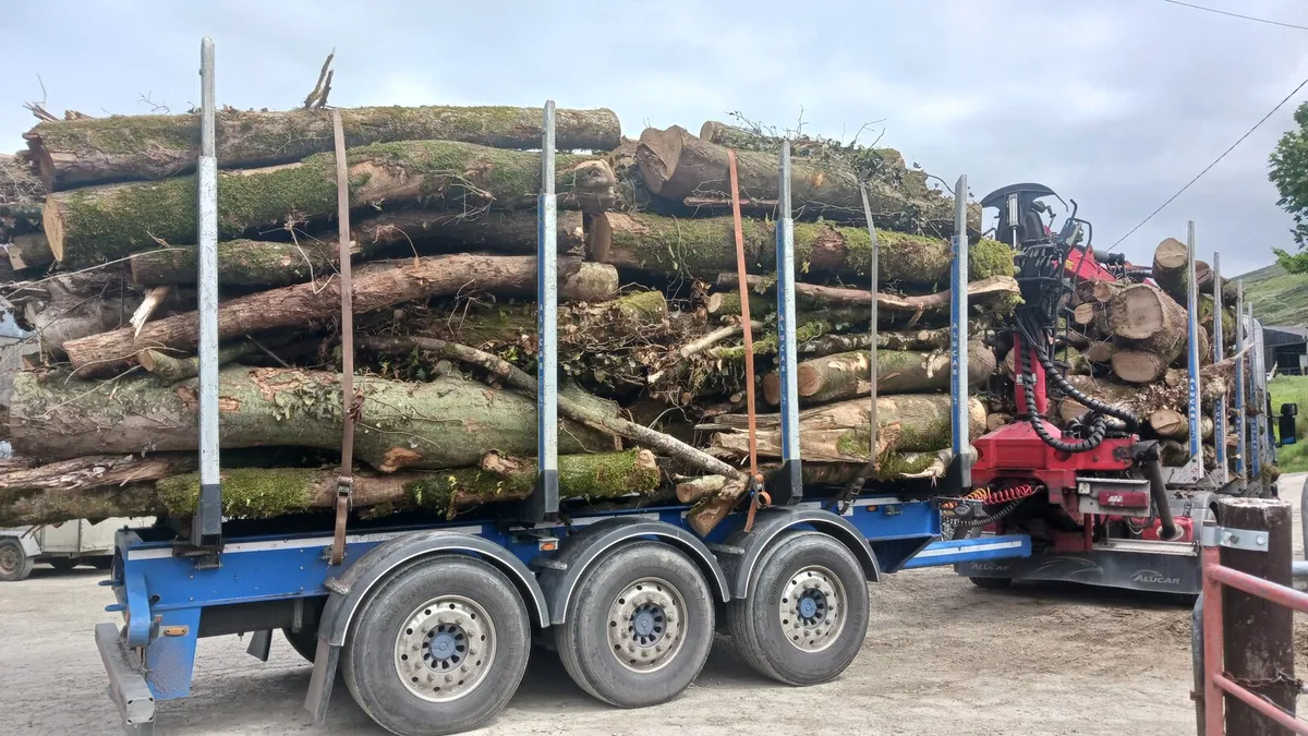 Firewood for sale