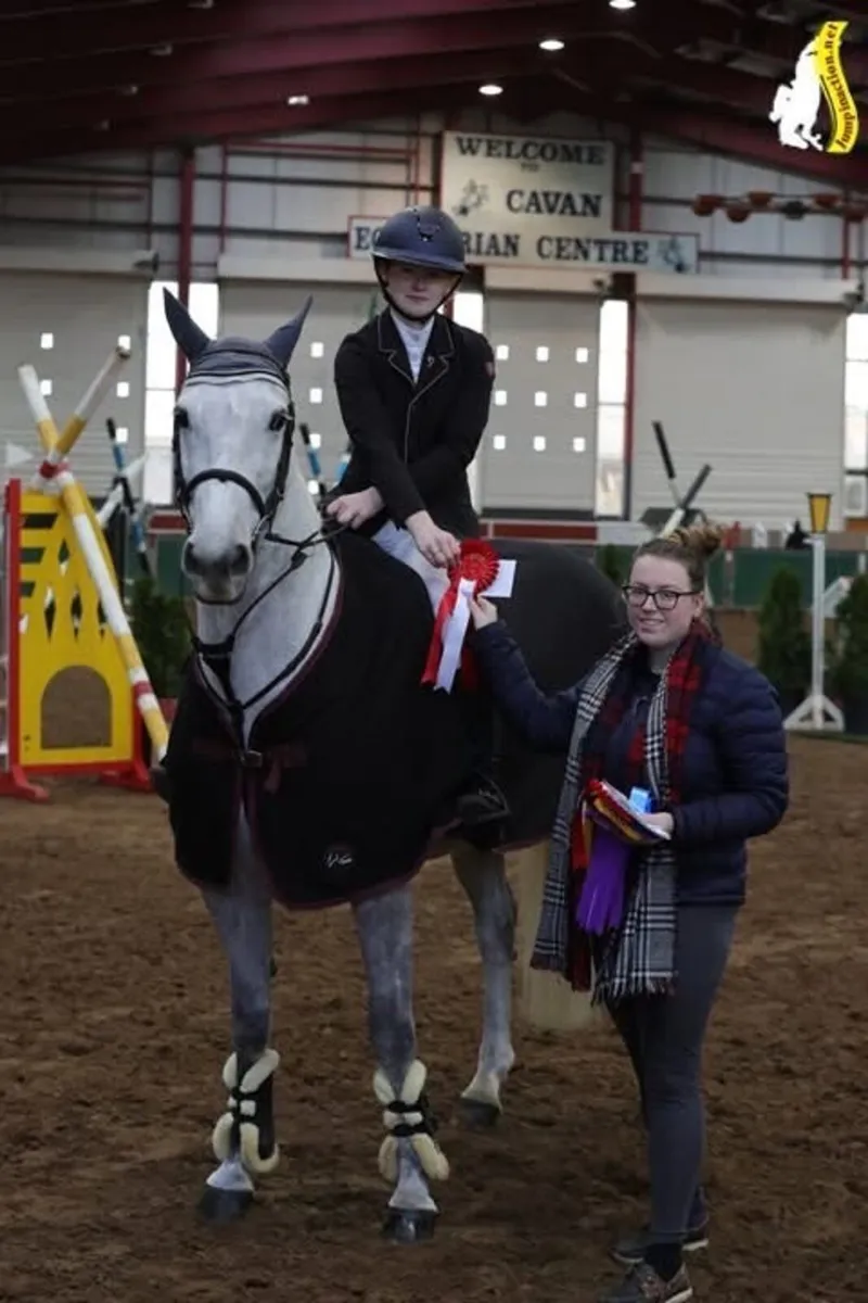 Competitive Amateur Show Jumping Horse - Image 1