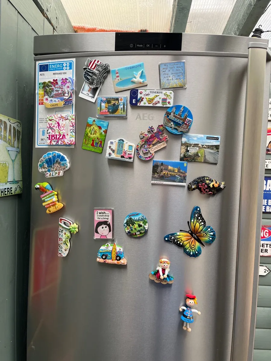 Larder Fridge - Image 2