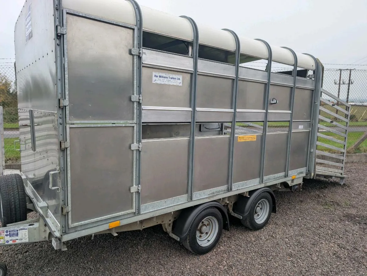 Ifor Williams sheep and cattle - Image 1