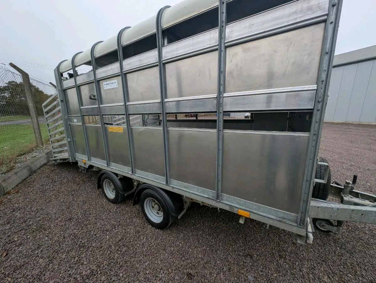 Ifor Williams sheep and cattle - Image 2