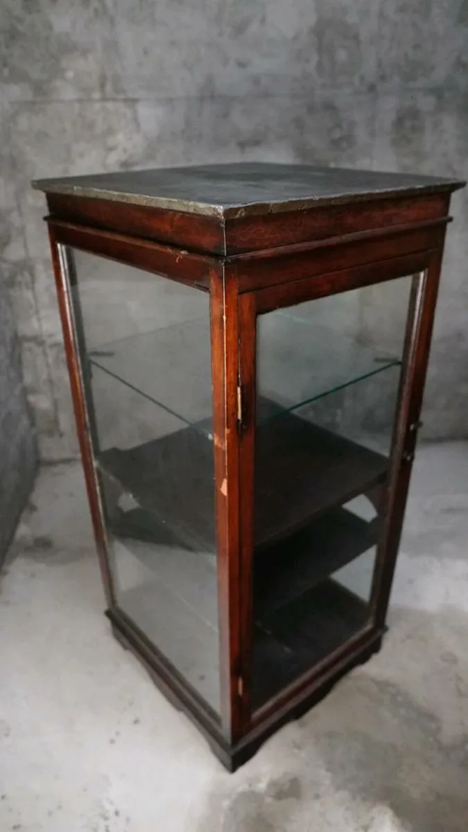 Antique shop counter display Case apothecary - Image 2