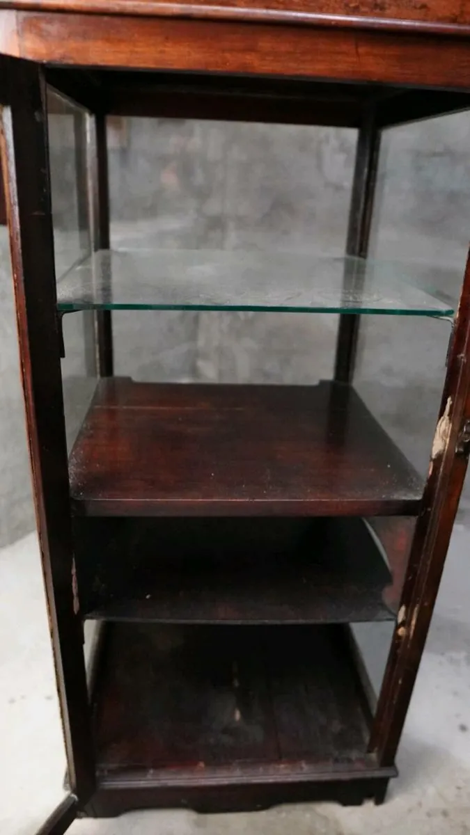 Antique shop counter display Case apothecary - Image 4