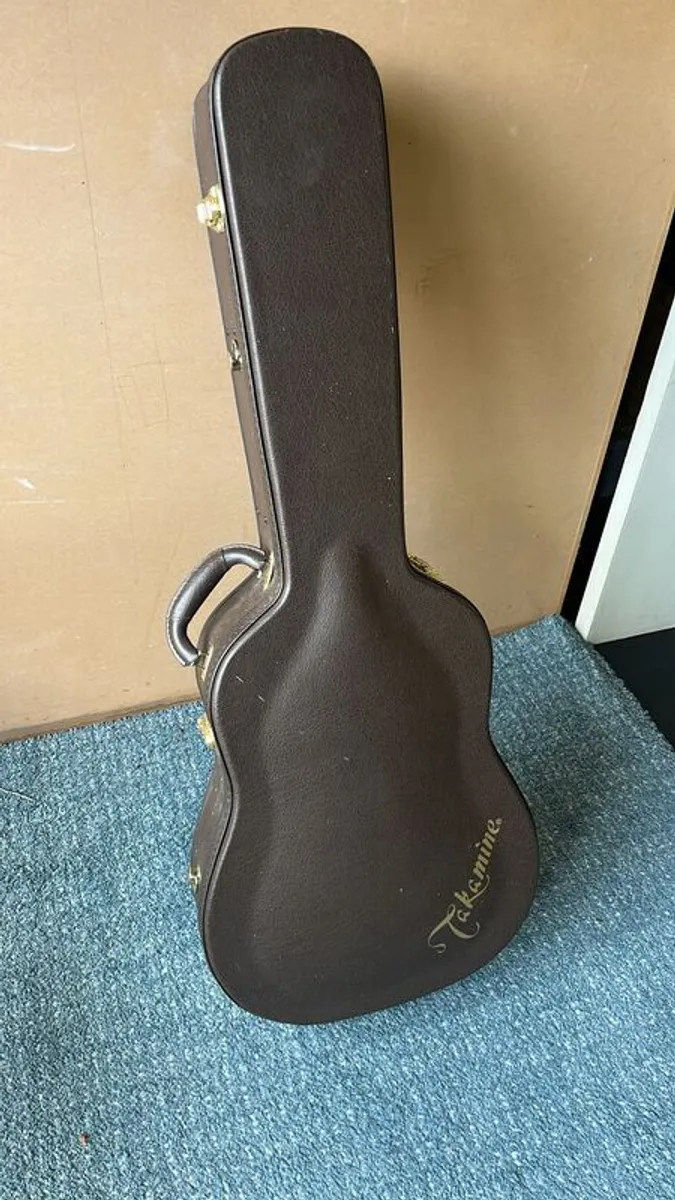 Takamine P5DCWB and GC arch top case - Image 4