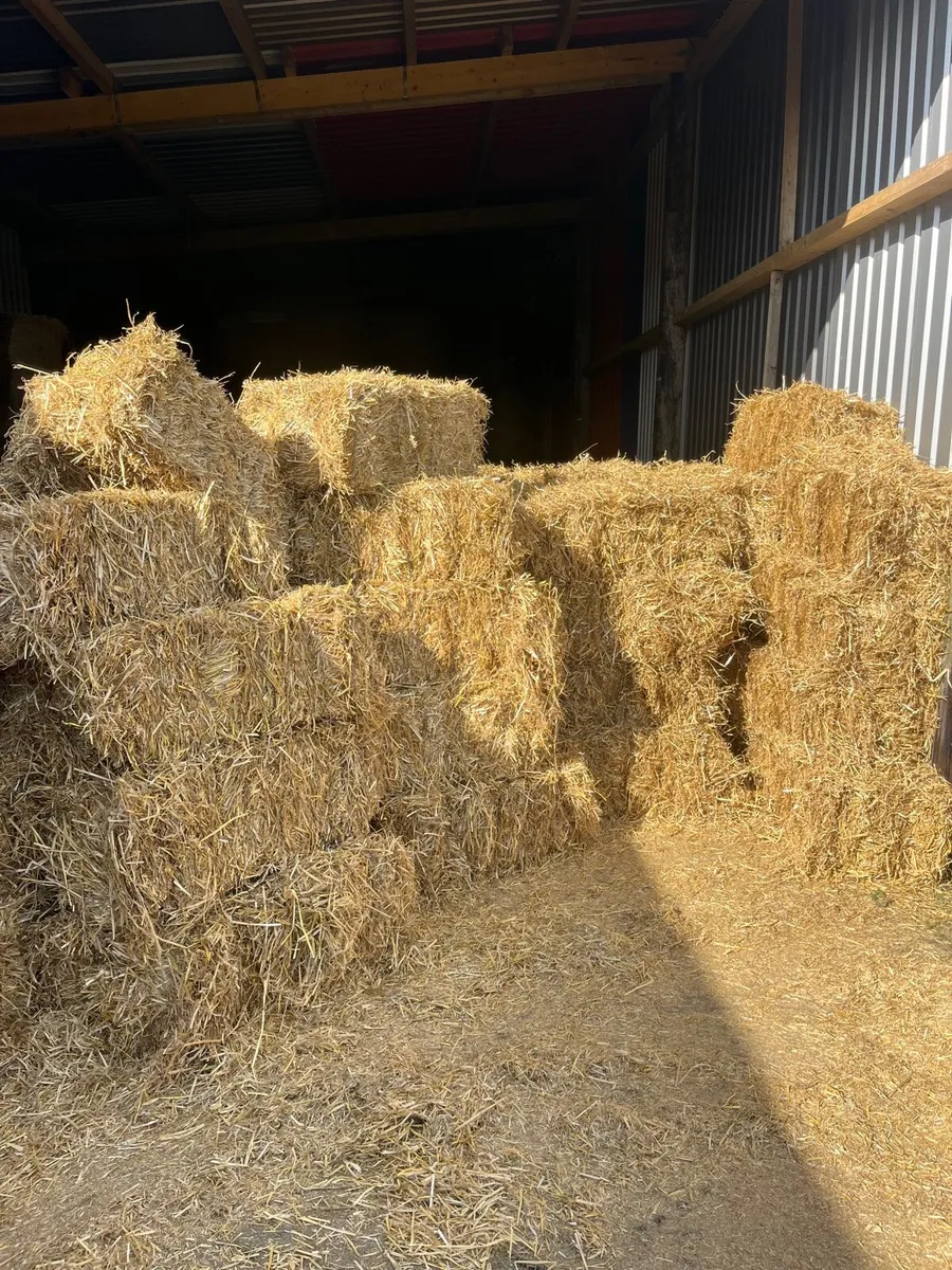 Straw small square bales for sale