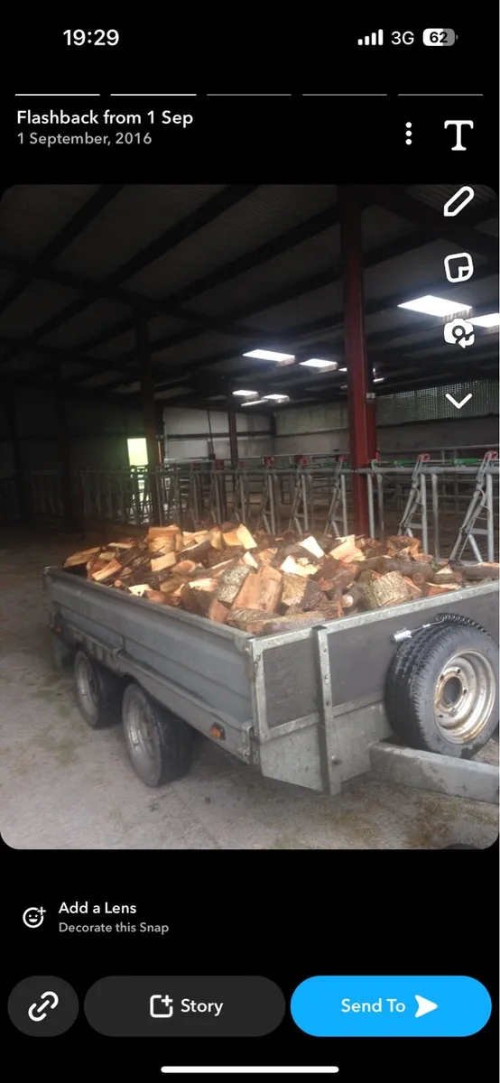 Firewood/timber hardwood - Image 1