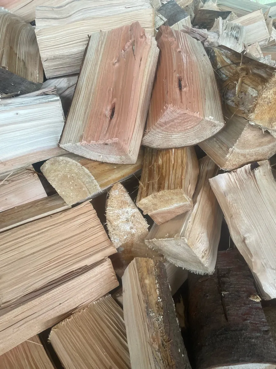 Firewood - Image 2