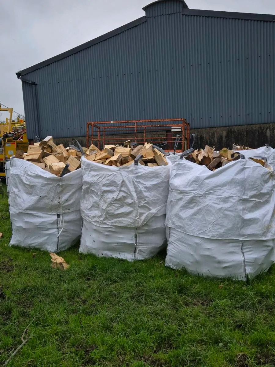 Firewood - Image 1