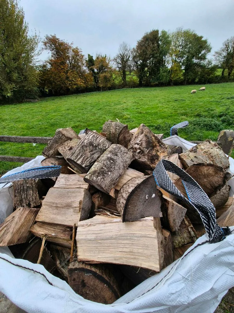 Firewood - Image 2