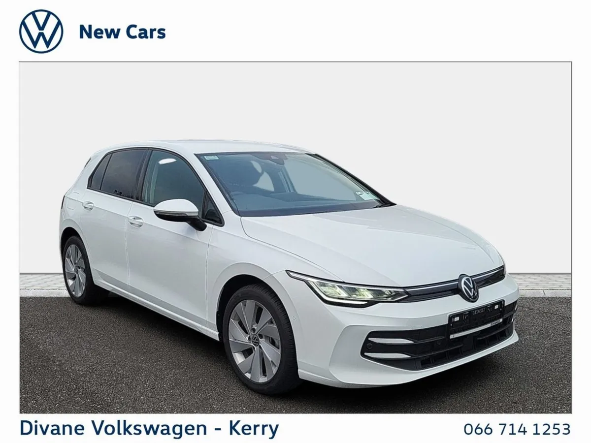 Volkswagen Golf VAN 2.0tdi Diesel 115 BHP - Image 1