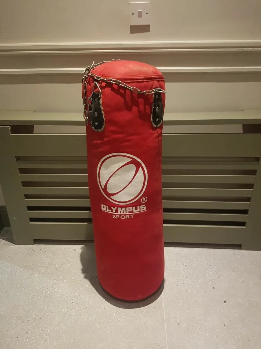 Olympus Punching Bag