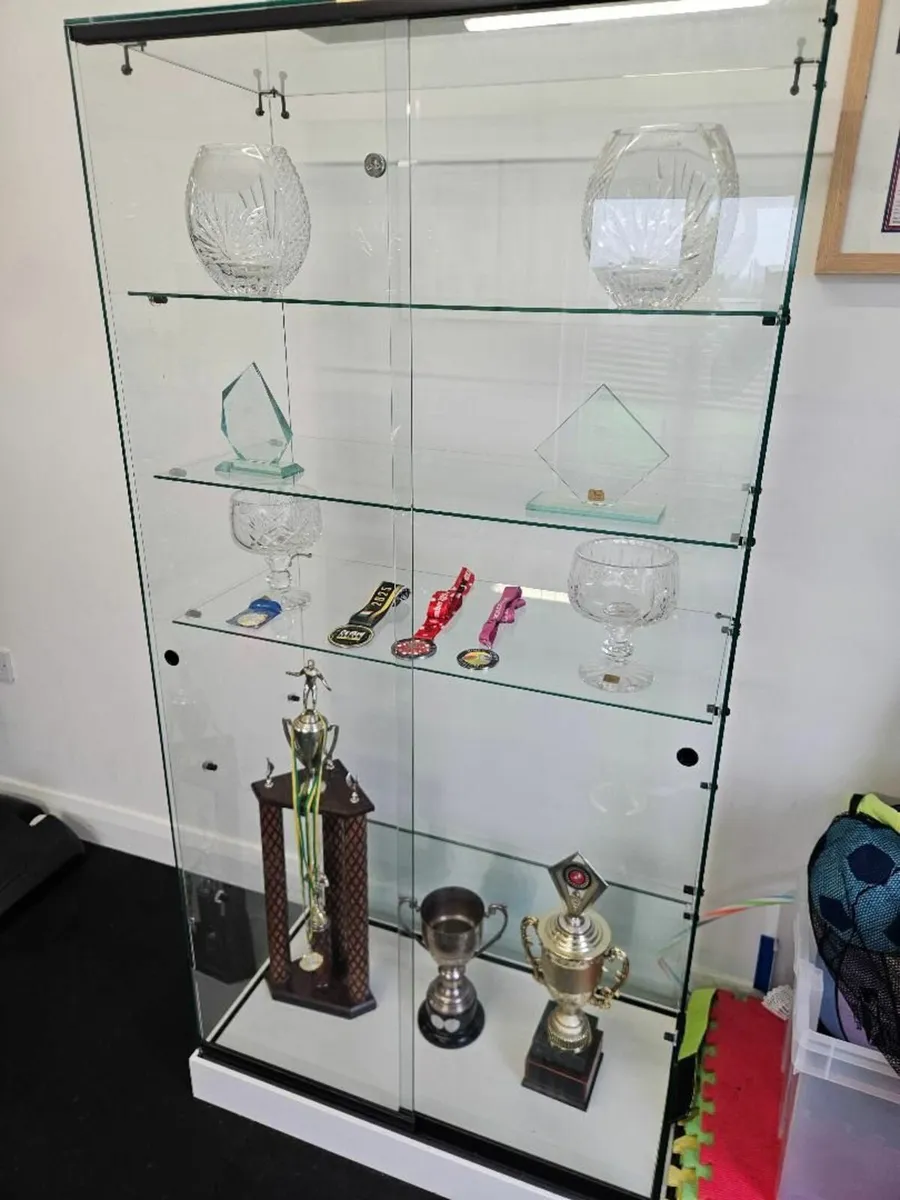 Glass Trophy Display Cabinet - Image 1