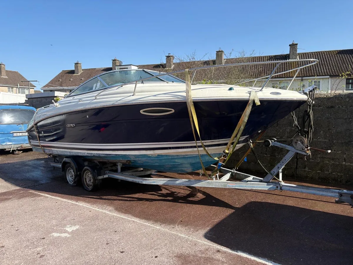 Sea ray 215 weekender - Image 1
