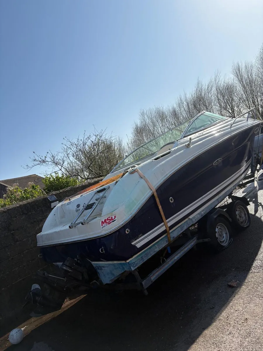 Sea ray 215 weekender - Image 3
