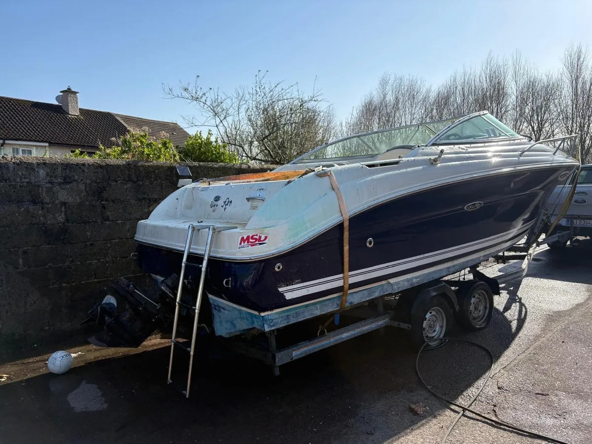 Sea ray 215 weekender - Image 4