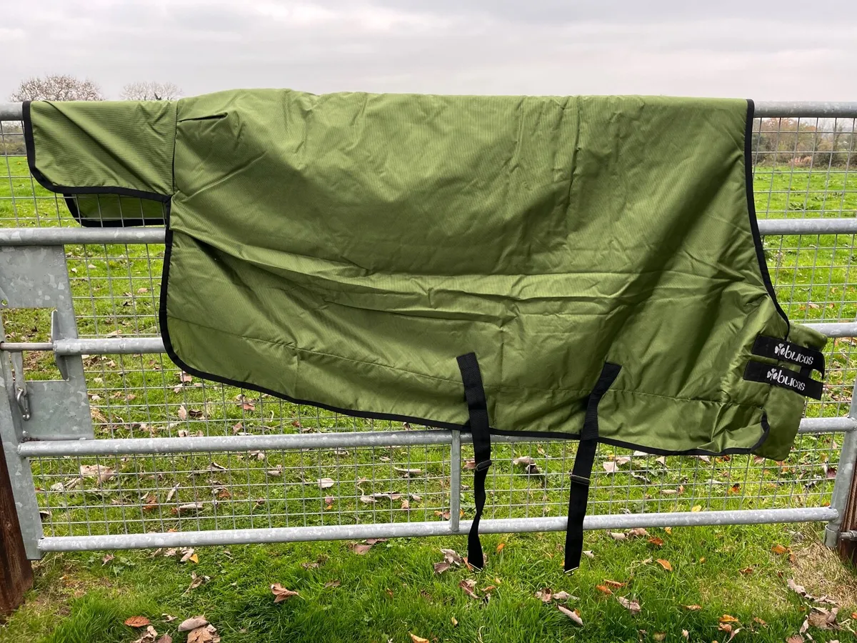 Horse Rug - Image 1