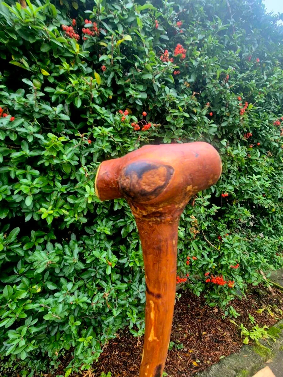 Walking stick/ shillelagh - Image 1