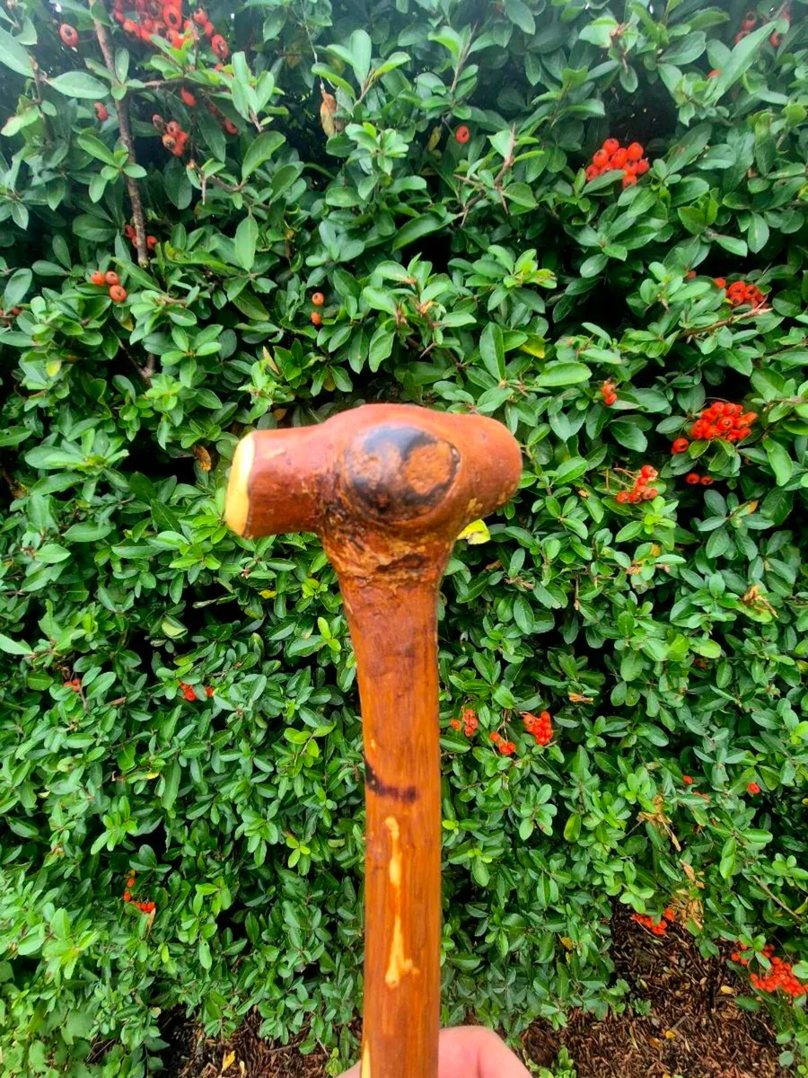 Walking stick/ shillelagh - Image 2