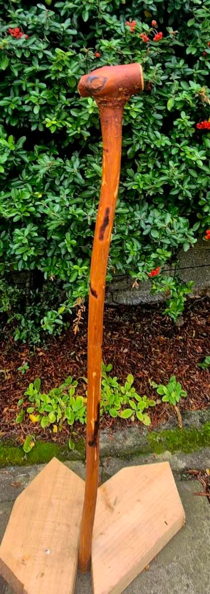 Walking stick/ shillelagh - Image 3