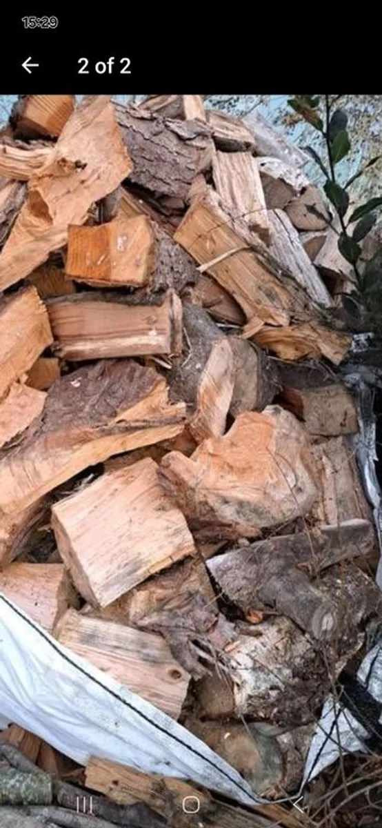 firewood - Image 2