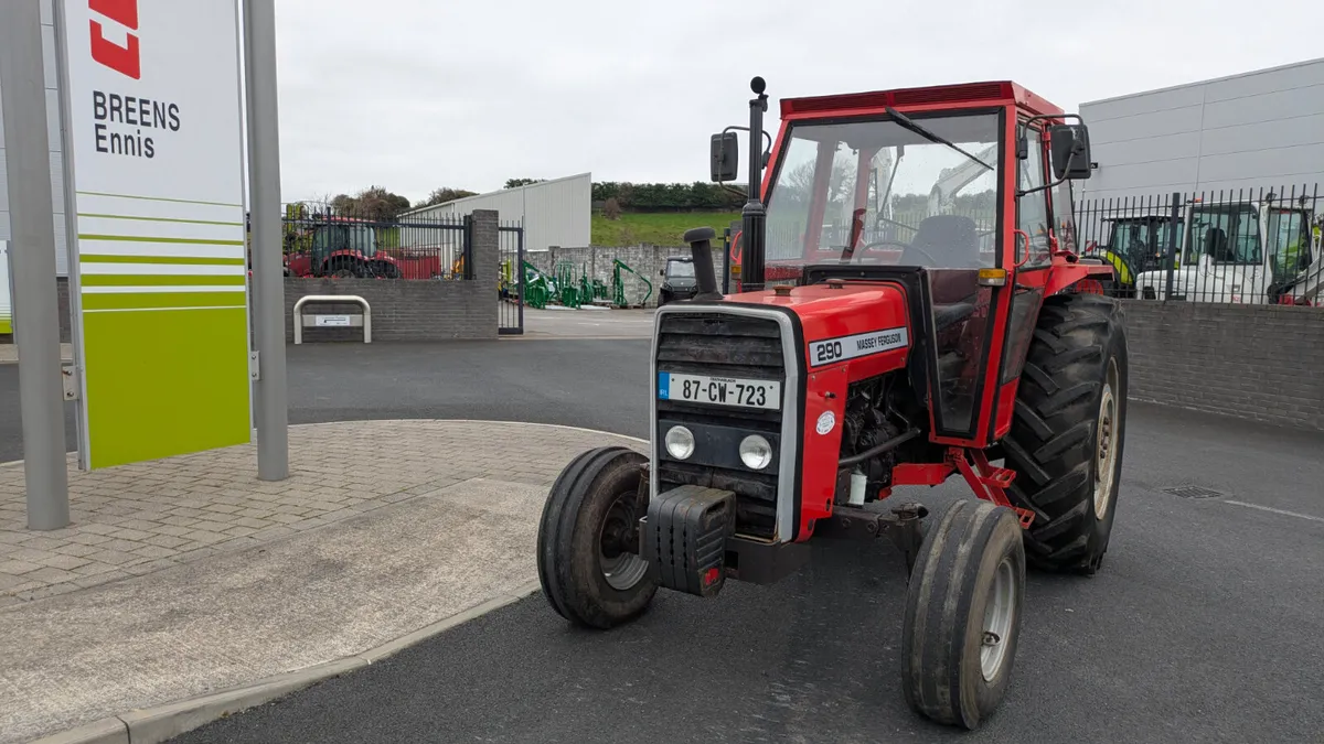 Massey Ferguson 290 - Image 2