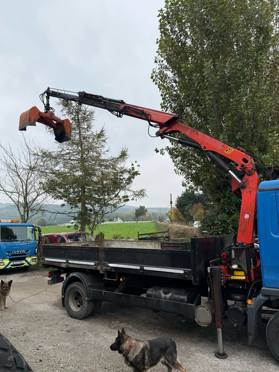 Man 10T tipper with grab - Image 2